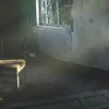 Халил Уилер-Уивер: Серийный убийца эпохи соцсетей, который превратил знакомства в смертельную ловушку